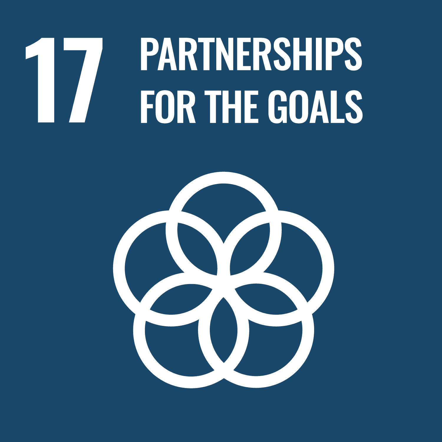 UN Sustainable Development Goal 17: Partenariats pour la réalisation des objectifs